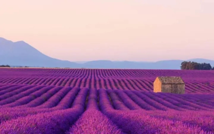 La Villa Sable En Provence Saint-Saturnin-lès-Apt
