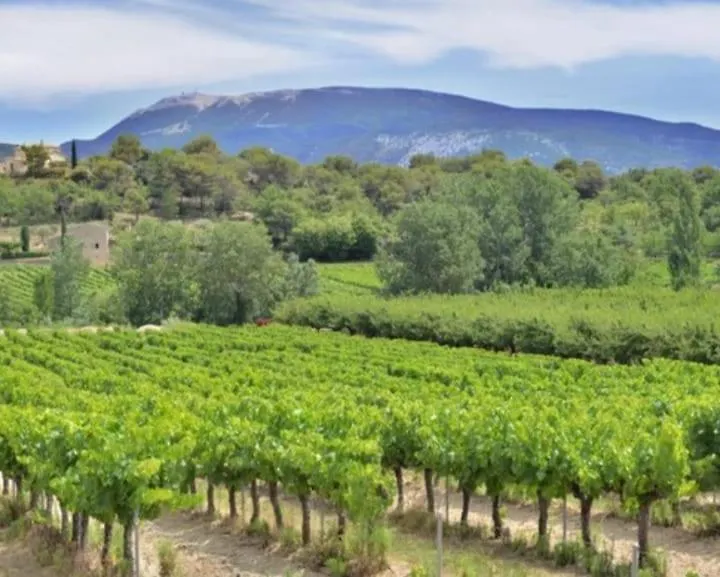 La Villa Sable En Provence Saint-Saturnin-les-Apt